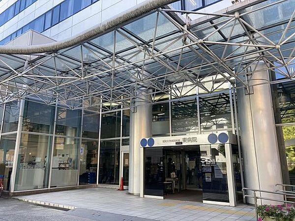 【周辺】昭和大学病院附属 東病院 380m