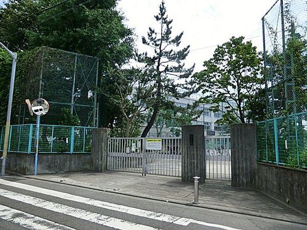 【周辺】【小学校】杉並区立富士見丘小学校まで384ｍ