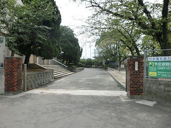 【周辺】中井小学校(700m)