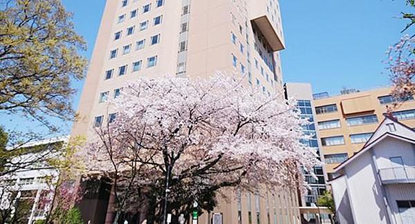 【周辺】私立日本女子大学人間社会学部 2259m
