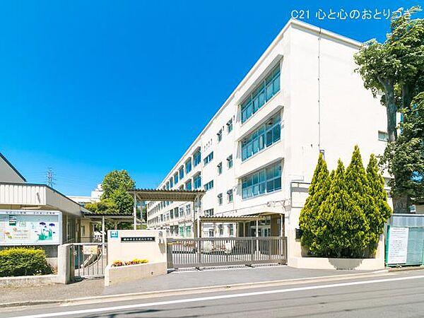 【周辺】横浜市立左近山小学校　801ｍ