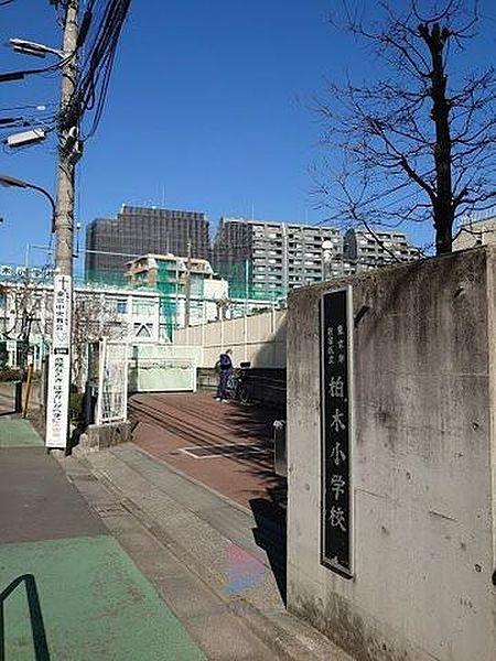 【周辺】新宿区立柏木小学校 徒歩10分。 770m