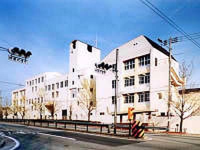 【周辺】【小学校】神戸市立西灘小学校まで248ｍ