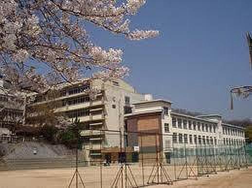 【周辺】【中学校】神戸市立夢野中学校まで872ｍ