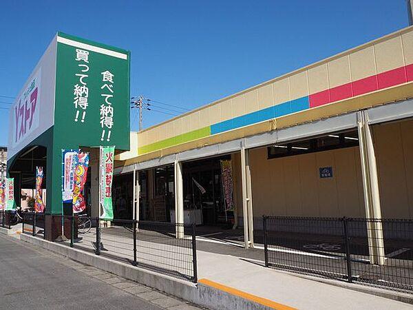 【周辺】【Yストア・篠田店】駐車場66台完備生鮮食品を取り扱う便利なスーパーです 460m