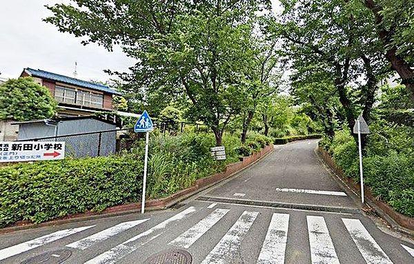 【周辺】横浜市立新田小学校 徒歩13分。 1020m