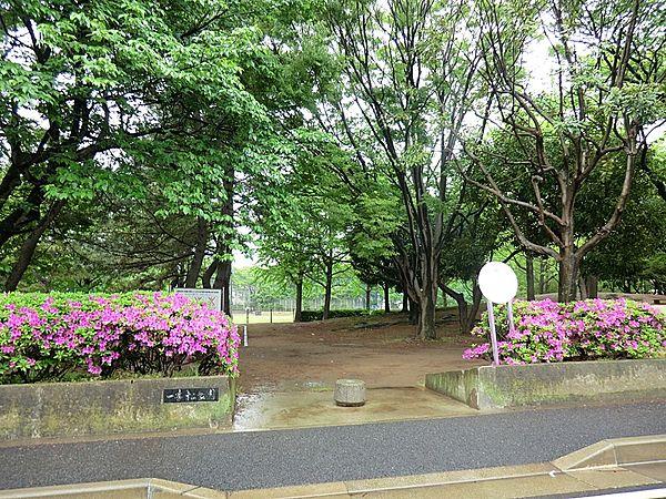 【周辺】公園 1303m 一本松公園