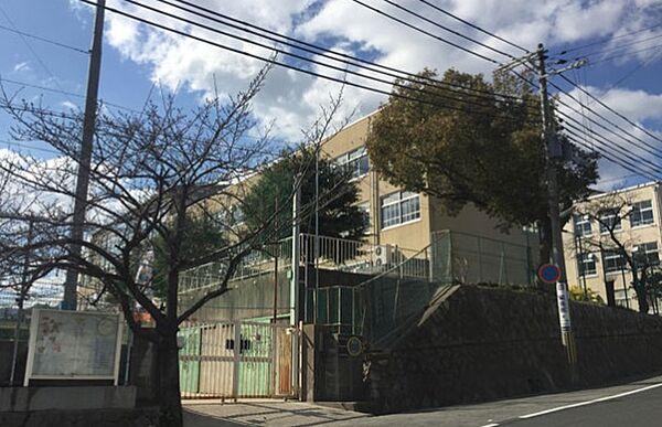 【周辺】【中学校】神戸市立住吉中学校まで370ｍ