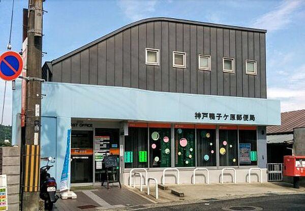 【周辺】【郵便局】神戸鴨子ケ原郵便局まで1356ｍ