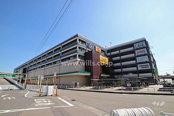 【周辺】アピタ(新守山店)の外観