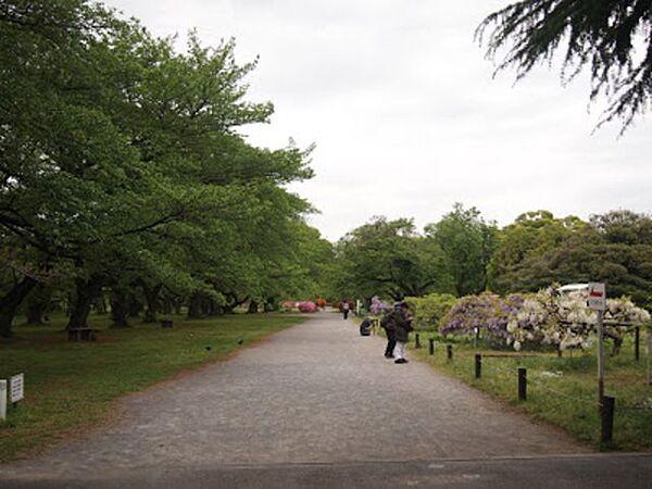 【周辺】小石川植物園 徒歩11分。公園 860m