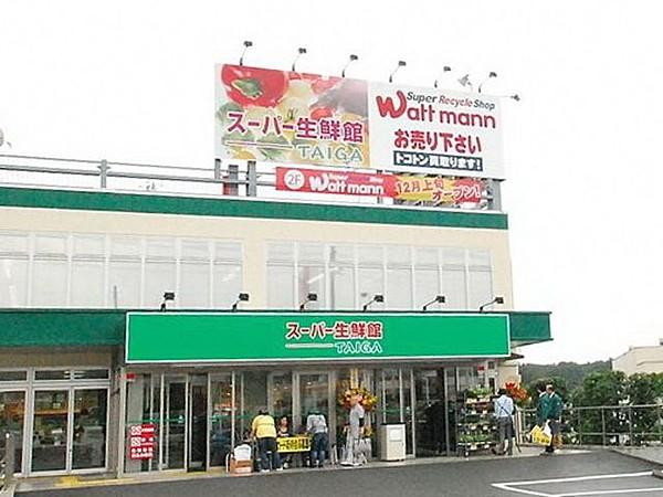 【周辺】スーパー生鮮館TAIGA藤沢店 611m