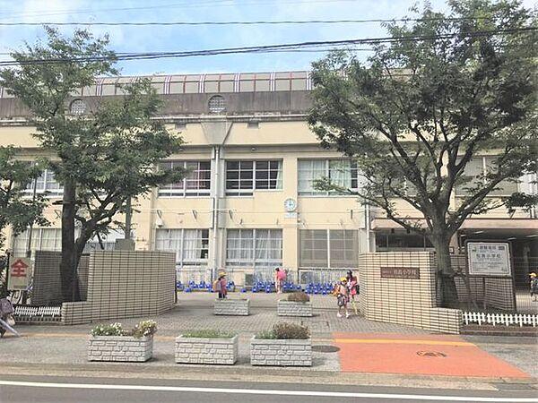 【周辺】福岡市立　松島小学校 松島小学校 650m