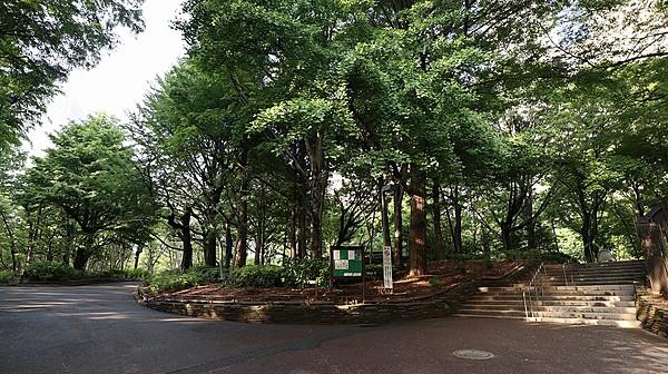 【周辺】都会のオアシス「新宿中央公園」。緑や滝に癒されます