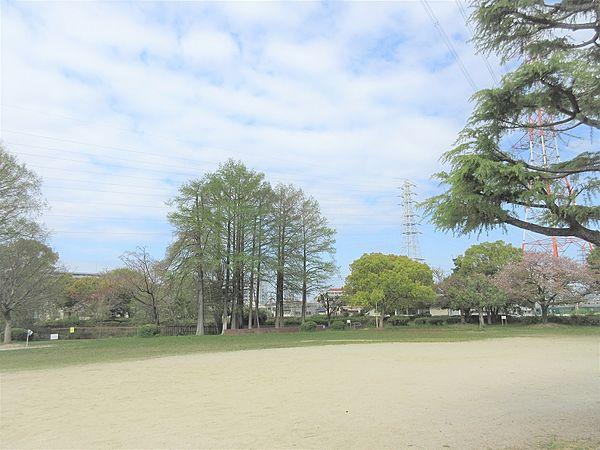【周辺】阪今池公園まで100ｍ。遊具や広場など、ゆったりとした公園です。
