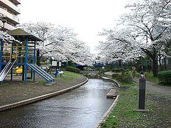 【周辺】【公園】大横川親水公園まで550ｍ