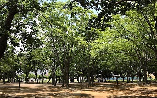 【周辺】天王台西公園 徒歩 約6分（約450m）