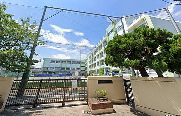 【周辺】【小学校】葛飾区立新宿小学校まで593ｍ