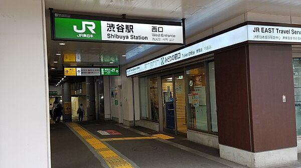 【周辺】【駅】渋谷駅まで1006ｍ