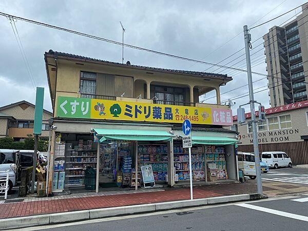 【周辺】ミドリ薬品大竜店