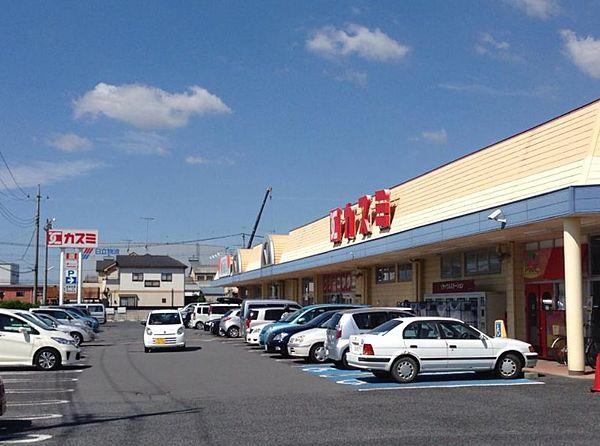 【周辺】【スーパー】KASUMI(カスミ)　花崎店まで769ｍ