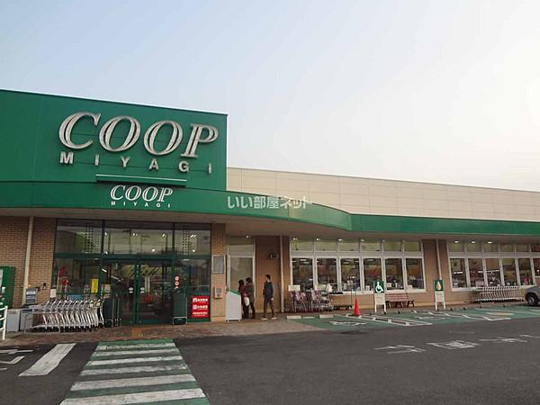 【周辺】【スーパー】COOP MIYAGI(みやぎ生協) 台原店まで533ｍ