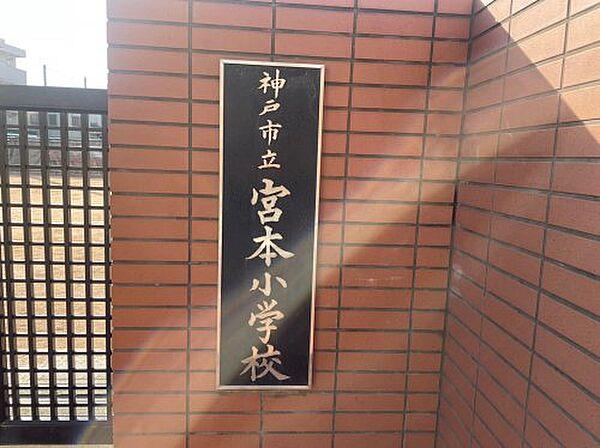 【周辺】【小学校】神戸市立宮本小学校まで138ｍ