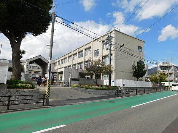 【周辺】【小学校】神戸市立魚崎小学校まで262ｍ