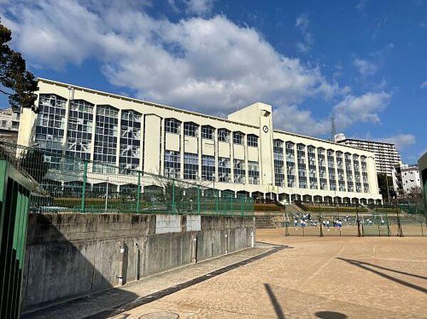 【周辺】【中学校】神戸市立布引中学校まで1314ｍ