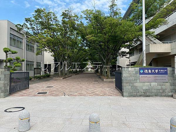 【周辺】国立徳島大学総合科学部 895m