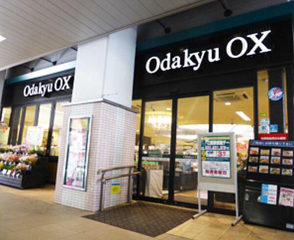 【周辺】【スーパー】Odakyu OX(オダキュウ オーエックス) 梅ヶ丘店まで244ｍ