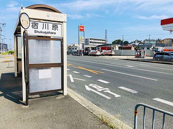【周辺】阪急バス停「宿川原」 240m