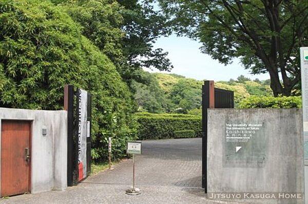 【周辺】【博物館】東京大学総合研究博物館小石川分館まで469ｍ