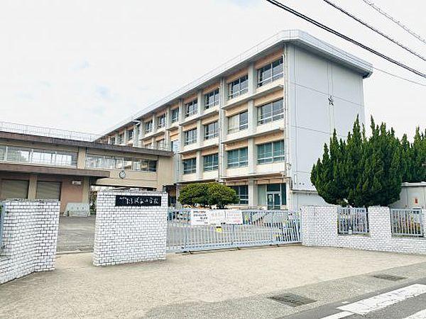 【周辺】【小学校】松山市立たちばな小学校まで1512ｍ