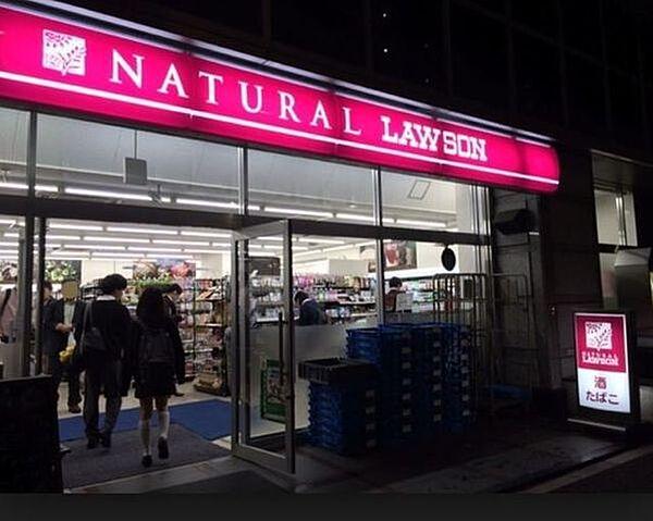 【周辺】ナチュラルローソン音羽一丁目店 635m