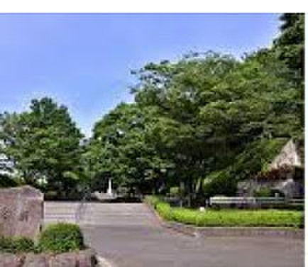 【周辺】【公園】横山公園まで1495ｍ