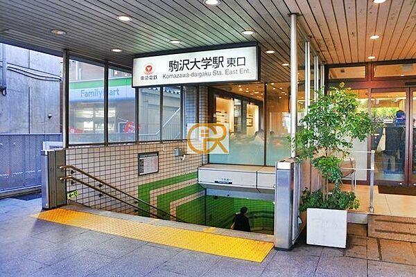 【周辺】駒沢大学駅(東急 田園都市線) 徒歩9分。 710m