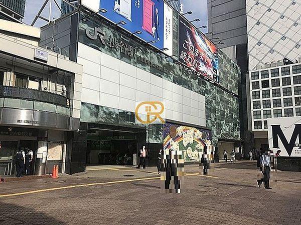 【周辺】渋谷駅(JR東日本 山手線(山手線)) 徒歩12分。 1520m