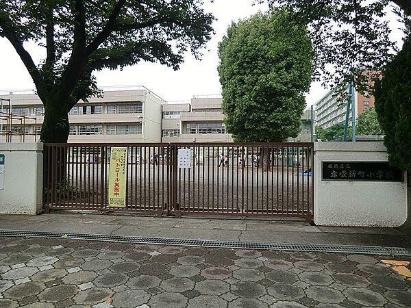 【周辺】小学校 300m 板橋区立赤塚新町小学校