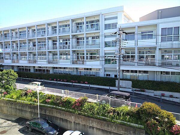 【周辺】北西方向の道路を挟んだ向かい側（マンションのエントランスの前）は横浜市立神奈川中学校です。