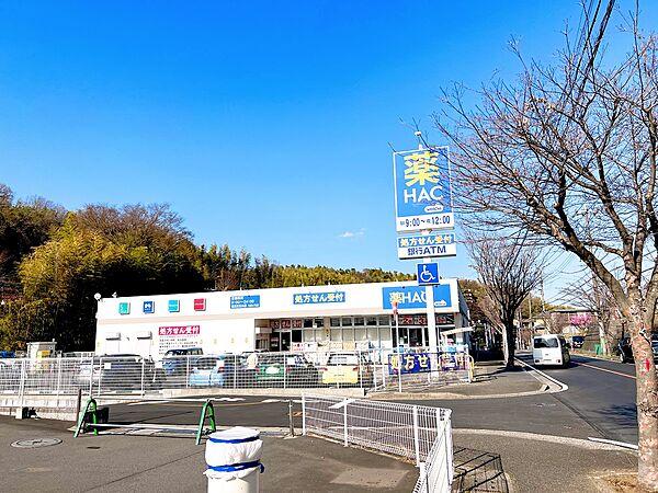 【周辺】ハックドラッグ横浜元石川店　徒歩7分（約550m)