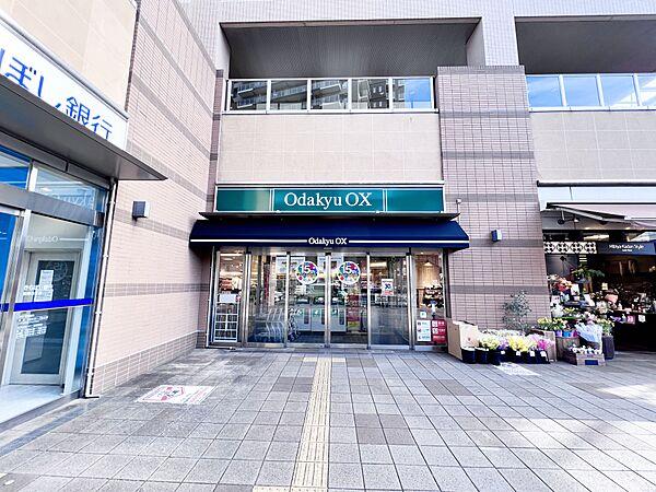 【周辺】OdakyuOX相模原店　徒歩5分（約350m)