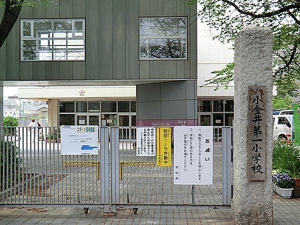 【周辺】小金井市立第一小学校　徒歩50分（約3980m)