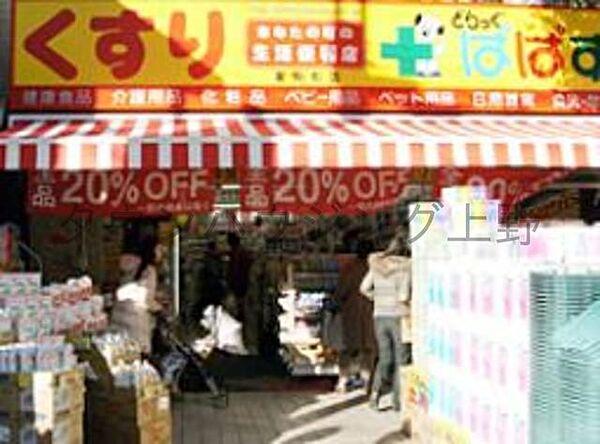 【周辺】どらっぐぱぱす東駒形店 240m