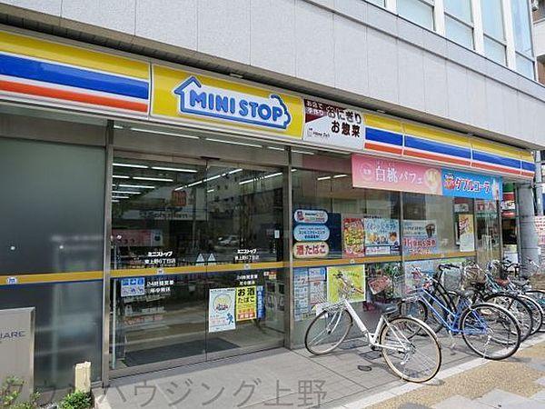 【周辺】ミニストップ東上野2丁目店 徒歩8分。コンビニ 640m