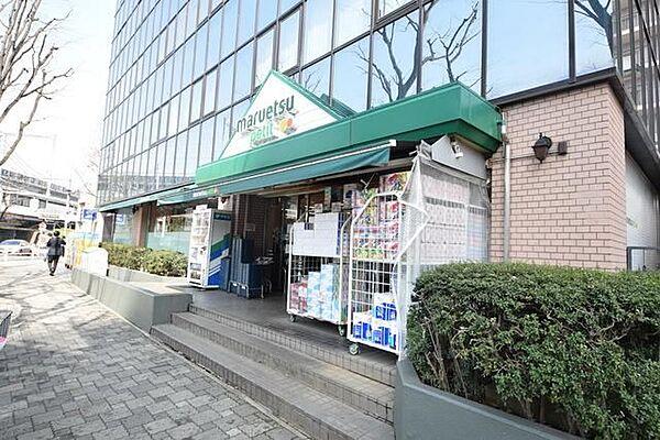 【周辺】マルエツプチ西大井駅前店 543m