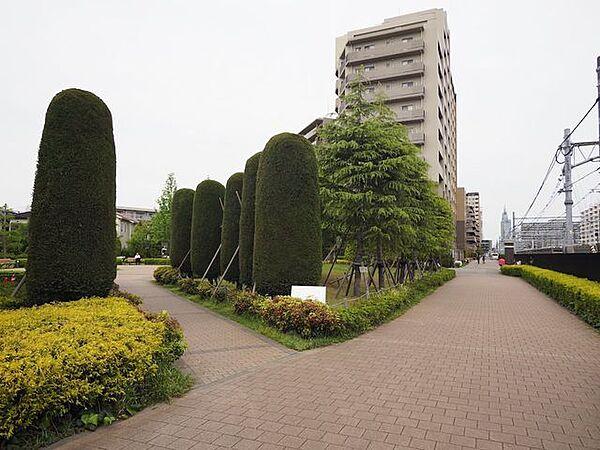 【外観】敷地内の公園もよく手入れがされており、都会にいながら敷地内で緑を感じることができます。