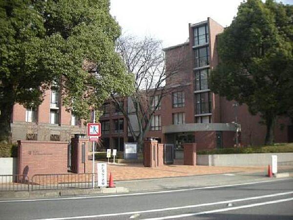 【周辺】【大学】私立京都薬科大学まで1372ｍ