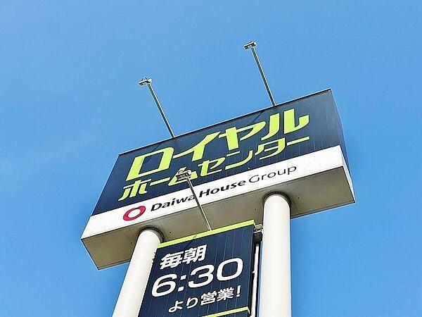 【周辺】ロイヤルホームセンター松戸　