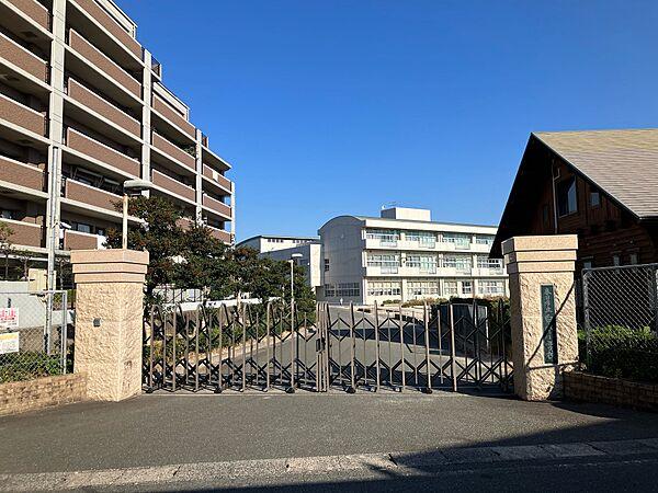 【周辺】白水小学校　70m(約1分)